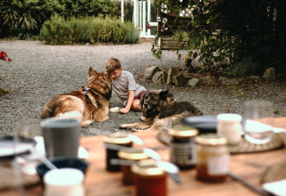 A child plays with two dogs on a gravel yard near an outdoor table at Feather Down Les Jardins des Coccinelles.
