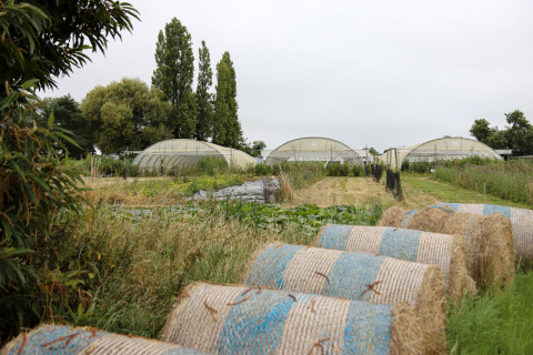 Hay bales and greenhouses at Feather Down Les Jardins des Coccinelles holiday park in Brittany, France.