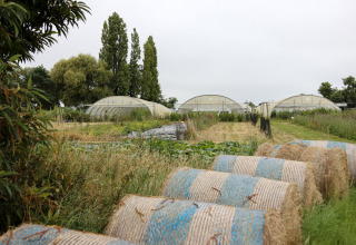 Hooibalen en kassen bij Feather Down Les Jardins des Coccinelles, vakantiepark in Bretagne, Frankrijk.