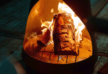 Bûches en flammes dans la cheminée d'une tiny house au Holiday park Eigen Wijze, Pays-Bas, ambiance cosy.