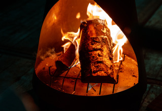 Leños ardiendo en una chimenea en la tiny house de Holiday park Eigen Wijze, Países Bajos, ambiente cálido.
