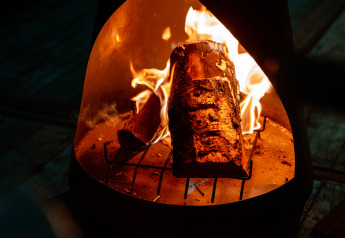Burning logs inside a fireplace at the Tiny house in Holiday park Eigen Wijze, Netherlands, cozy scene.