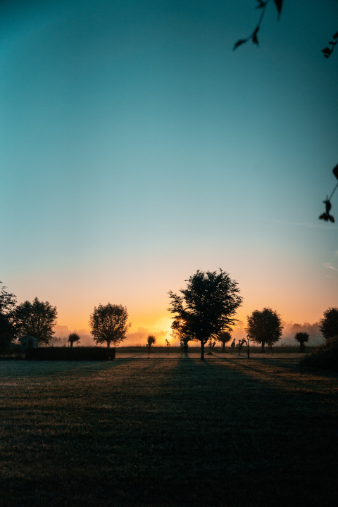 Amanecer detrás de árboles visto desde una tiny house en Holiday park Eigen Wijze, Países Bajos, con cielo despejado.