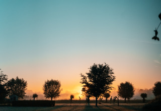 Amanecer detrás de árboles visto desde una tiny house en Holiday park Eigen Wijze, Países Bajos, con cielo despejado.