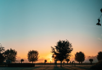 Amanecer detrás de árboles visto desde una tiny house en Holiday park Eigen Wijze, Países Bajos, con cielo despejado.