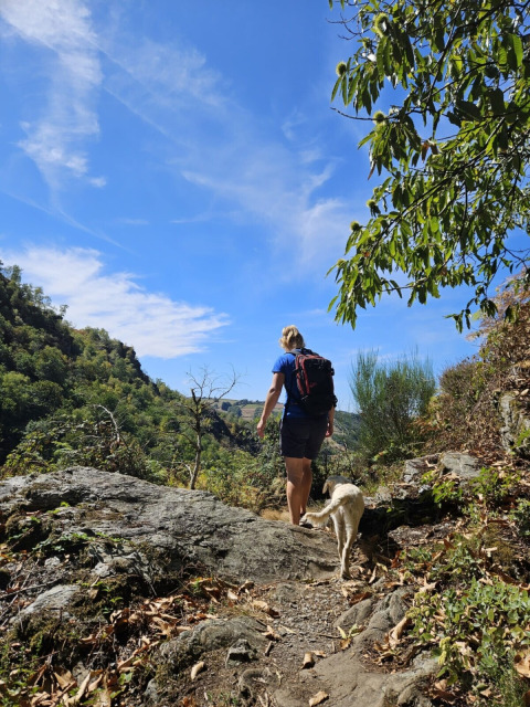 Una persona con mochila y un perro caminan por un sendero rocoso bajo el cielo azul en Occitania, Francia.