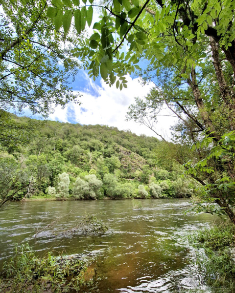 River with lush green trees and hills at Camping Pittoresque in Occitanie, France, under a partly cloudy sky.