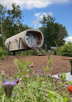 Tiny house Anthropod au Holiday Park 't Rheezerwold, Pays-Bas, entourée de fleurs sauvages et de verdure.