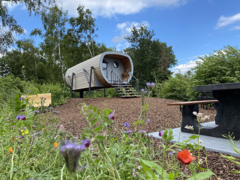 Casa pequeña Anthropod en Holiday Park 't Rheezerwold, Países Bajos, rodeada de flores silvestres y vegetación.
