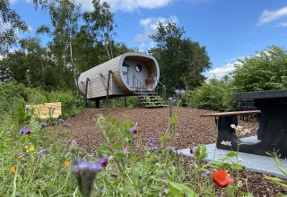 Anthropod tiny house bij Holiday Park 't Rheezerwold in Nederland, omgeven door bloemen en natuur.