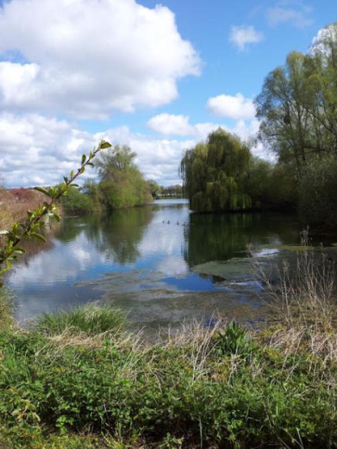 Vista panorámica de un lago rodeado de árboles en Camping Seasonova Les Marguerites, Hauts-de-France, Francia.