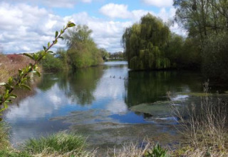 Paesaggio naturale con lago e alberi al Camping Seasonova Les Marguerites, Hauts-de-France, Francia, in primavera.