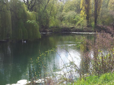 Lago tranquillo circondato da alberi presso Camping Seasonova Les Marguerites, Hauts-de-France, Francia.