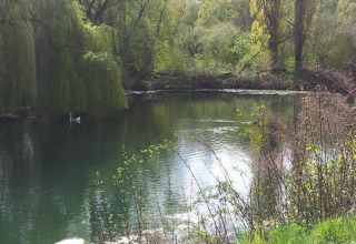 Lago tranquillo circondato da alberi presso Camping Seasonova Les Marguerites, Hauts-de-France, Francia.