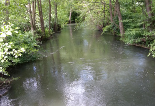 Fiume tranquillo circondato da alberi verdi vicino a GAMACHES, Hauts-de-France, Francia, paesaggio sereno.
