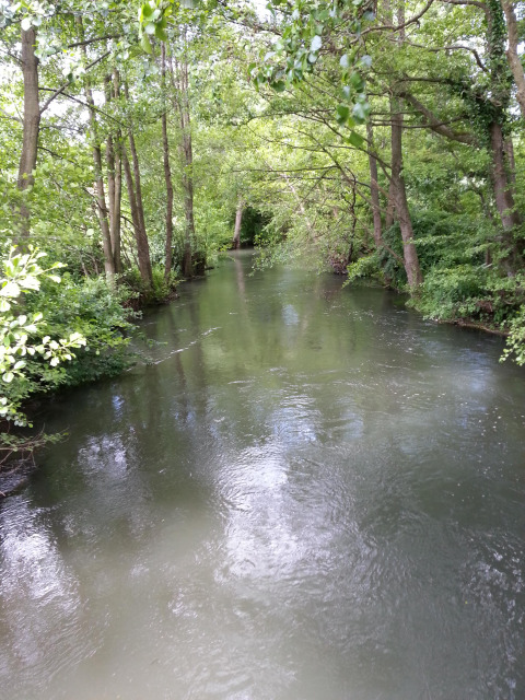Río tranquilo rodeado de árboles frondosos cerca de GAMACHES, Hauts-de-France, Francia, paisaje sereno.