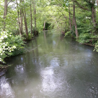 Río tranquilo rodeado de árboles frondosos cerca de GAMACHES, Hauts-de-France, Francia, paisaje sereno.