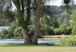 Et fredeligt billede af en træbevokset sø ved Camping Seasonova Les Marguerites i Hauts-de-France, Frankrig.