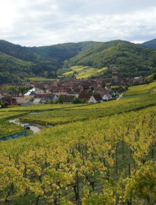 Viñedos y colinas verdes rodean Horbourg-Wihr, un pintoresco pueblo de Grand Est, Francia, en esta imagen.