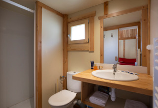 Baño moderno con detalles de madera, espejo, lavabo, inodoro y ducha en Chalet Montana, Colmar, Francia.