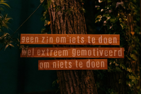 Letreros de madera con texto en holandés en un árbol, rodeados de vegetación, tomados en un glamping.