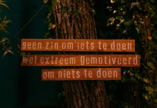 Letreros de madera con texto en holandés en un árbol, rodeados de vegetación, tomados en un glamping.