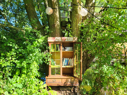 Un armario de libros con puertas abiertas cuelga de un árbol, rodeado de vegetación en un glamping.