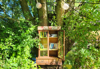 Un armario de libros con puertas abiertas cuelga de un árbol, rodeado de vegetación en un glamping.