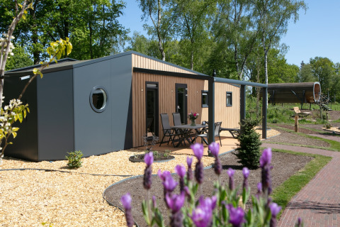 Moderne tiny house Forest Lodge in Vakantiepark 't Rheezerwold in Nederland, omringd door groen.