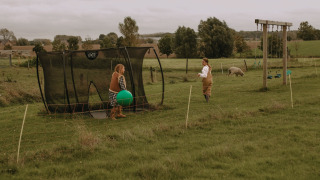 Niños juegan con una pelota verde y una cama elástica en Feather Down Hoeve den Overdraght, Bélgica.