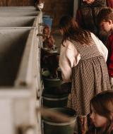 Niños y adultos alimentando terneros en un establo en Feather Down Hoeve den Overdraght, Flandes Occidental.