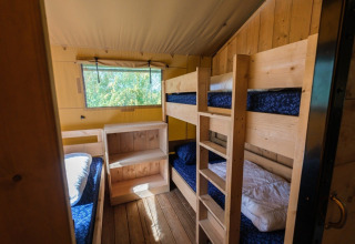 Interieur van de GlampCamp Safari Tent met stapelbedden en houten meubels op Camping De Klimberg in Nederland.