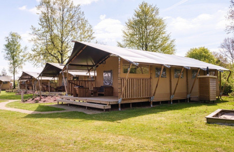 Tente Safari GlampCamp avec grands tentes entourées de verdure, idéale pour un séjour glamping confortable.