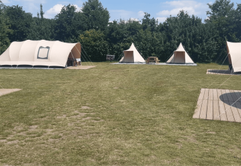 Tenda safari De Waard tunnel al campeggio De Klimberg nei Paesi Bassi, circondata da prati verdi.