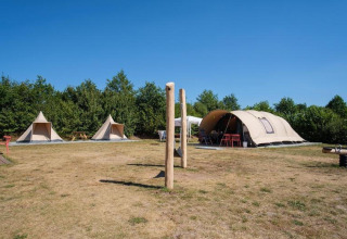 Tiendas safari y tienda tipo túnel De Waard en Camping De Klimberg en los Países Bajos bajo cielo azul.
