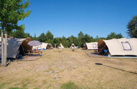 Tiendas safari De Waard en Camping De Klimberg, Países Bajos, alineadas en un campo abierto bajo cielo azul.