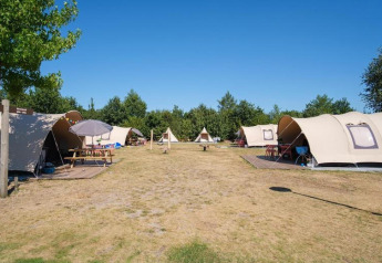 Tende safari De Waard presso Camping De Klimberg nei Paesi Bassi, disposte su un prato soleggiato.