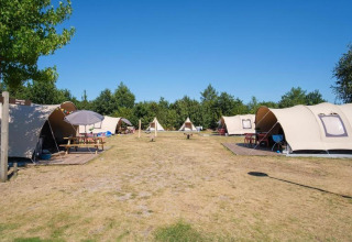 Tiendas safari De Waard en Camping De Klimberg, Países Bajos, alineadas en un campo abierto bajo cielo azul.