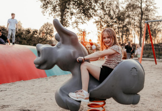 Meisje op een diervormige wip in de speeltuin van een glampinglocatie met andere spelende kinderen.