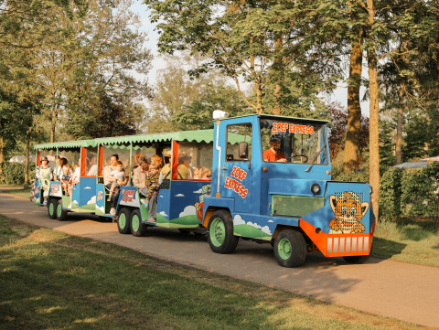 Families ride the colorful Zoef Express train through scenic greenery at a glamping accommodation site.