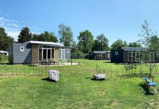 Luxury Chalet at Recreatiepark De Achterste Hoef in the Netherlands, featuring green lawns and modern cabins.