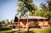 Tenda safari al Recreatiepark De Achterste Hoef nei Paesi Bassi tra alberi e cielo sereno.