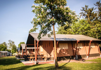 Tenda safari al Recreatiepark De Achterste Hoef nei Paesi Bassi tra alberi e cielo sereno.