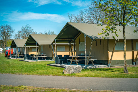 Rangée de tentes safari au Recreatiepark De Achterste Hoef aux Pays-Bas, entourées de verdure et d’arbres.