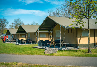 Rangée de tentes safari au Recreatiepark De Achterste Hoef aux Pays-Bas, entourées de verdure et d’arbres.
