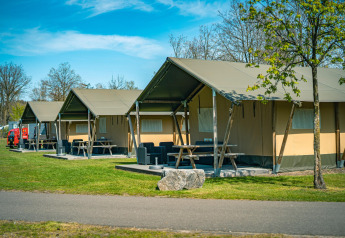 Fila de tiendas safari en Recreatiepark De Achterste Hoef, Países Bajos, rodeadas de césped y árboles verdes.