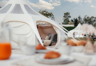 Safari Lotus Belle-tent bij Recreatiepark De Achterste Hoef in Nederland met gezellige zitruimte binnen.