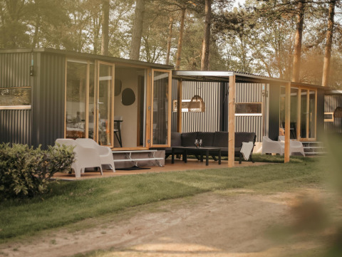 Cabañas modernas con grandes ventanales y asientos exteriores, rodeadas de árboles en un entorno natural.