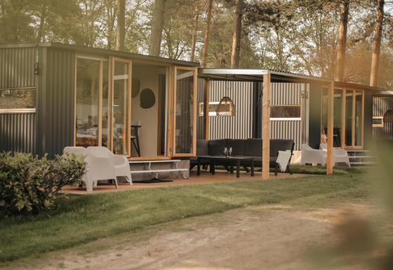 Cabañas modernas con grandes ventanales y asientos exteriores, rodeadas de árboles en un entorno natural.