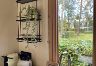 Rincón de cocina en una cabaña con cafetera, tetera, estante con planta y vista al jardín arbolado.